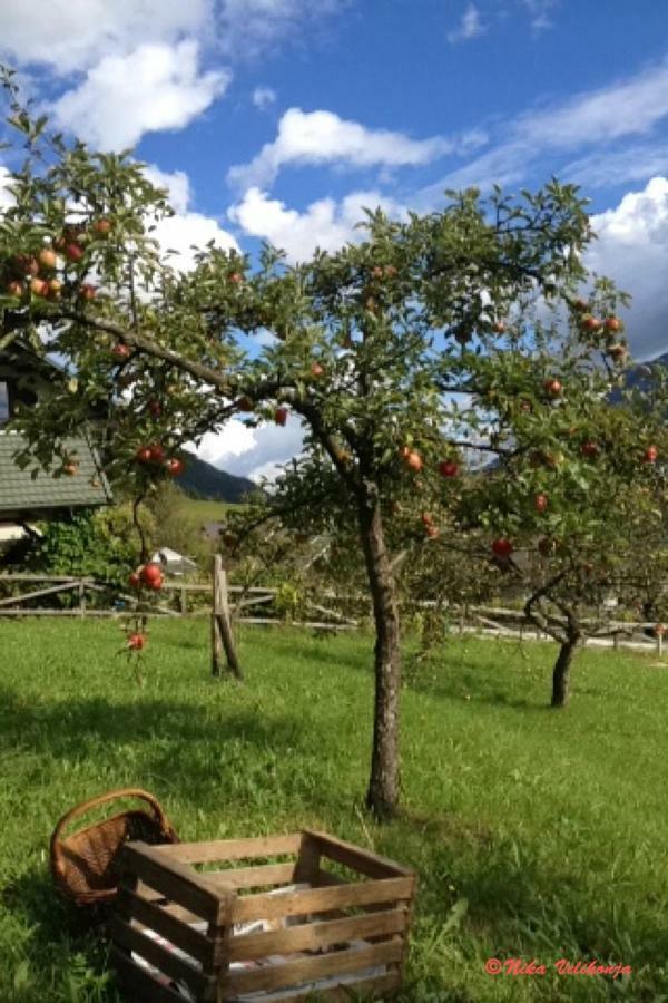 Mountain View Glamping Villa Dovje Buitenkant foto